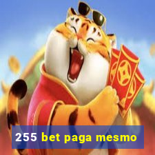 255 bet paga mesmo